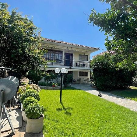 Evian House Βίλα Άγιοι Απόστολοι Εξωτερικό φωτογραφία