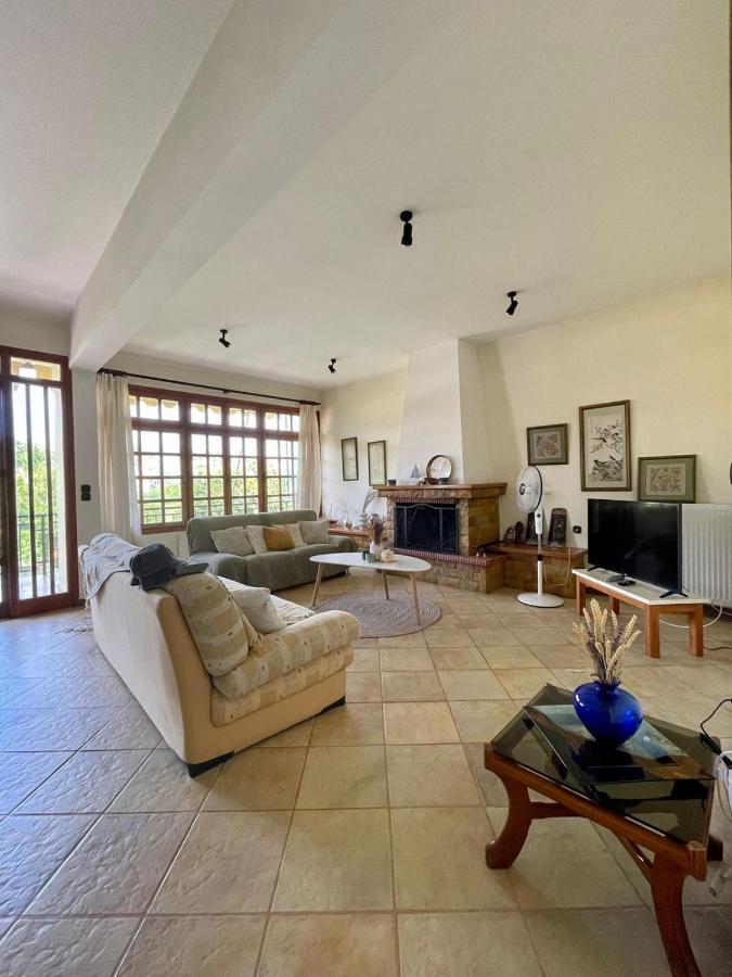Evian House Βίλα Άγιοι Απόστολοι Εξωτερικό φωτογραφία